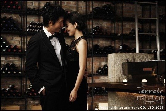 Terroir (K-drama) (2008)